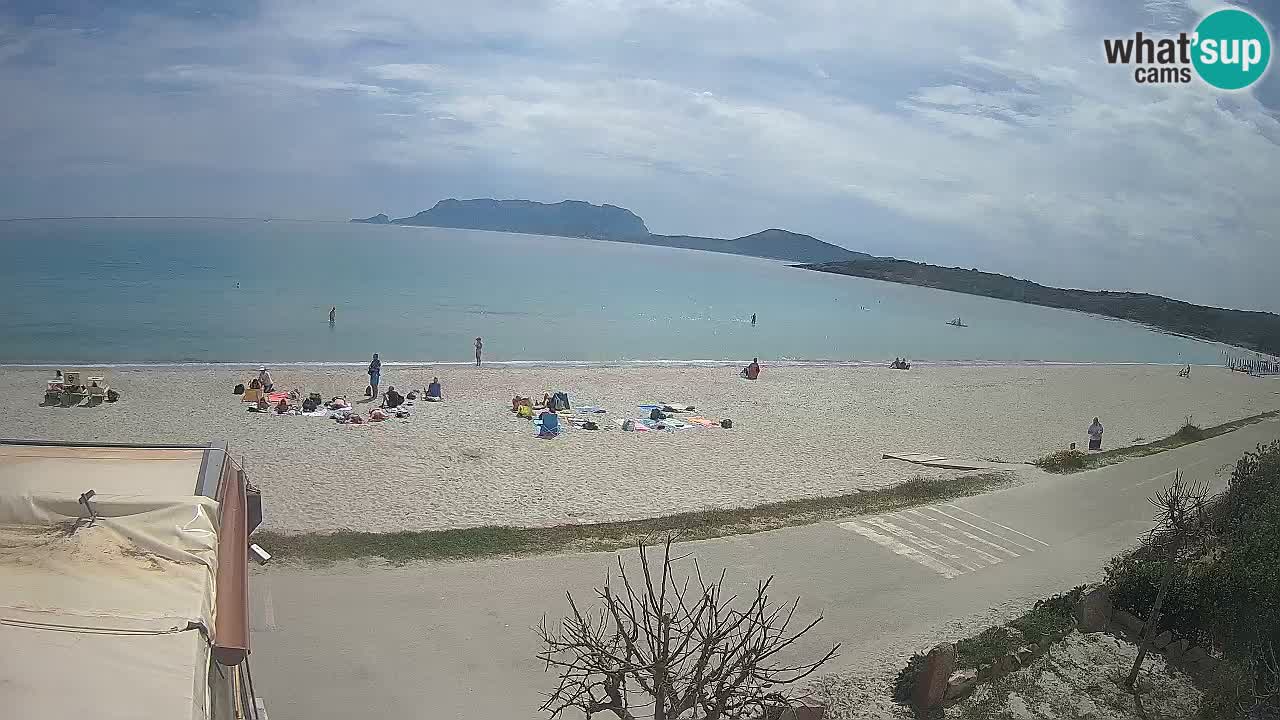 La webcam spiaggia Pittulongu vicino Olbia – Sardegna