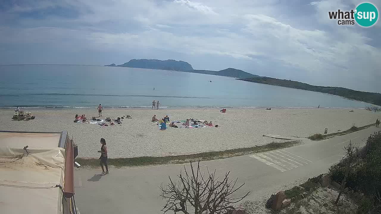 La plage de Pittulongu en direct webcam Olbia – Sardaigne – Italie