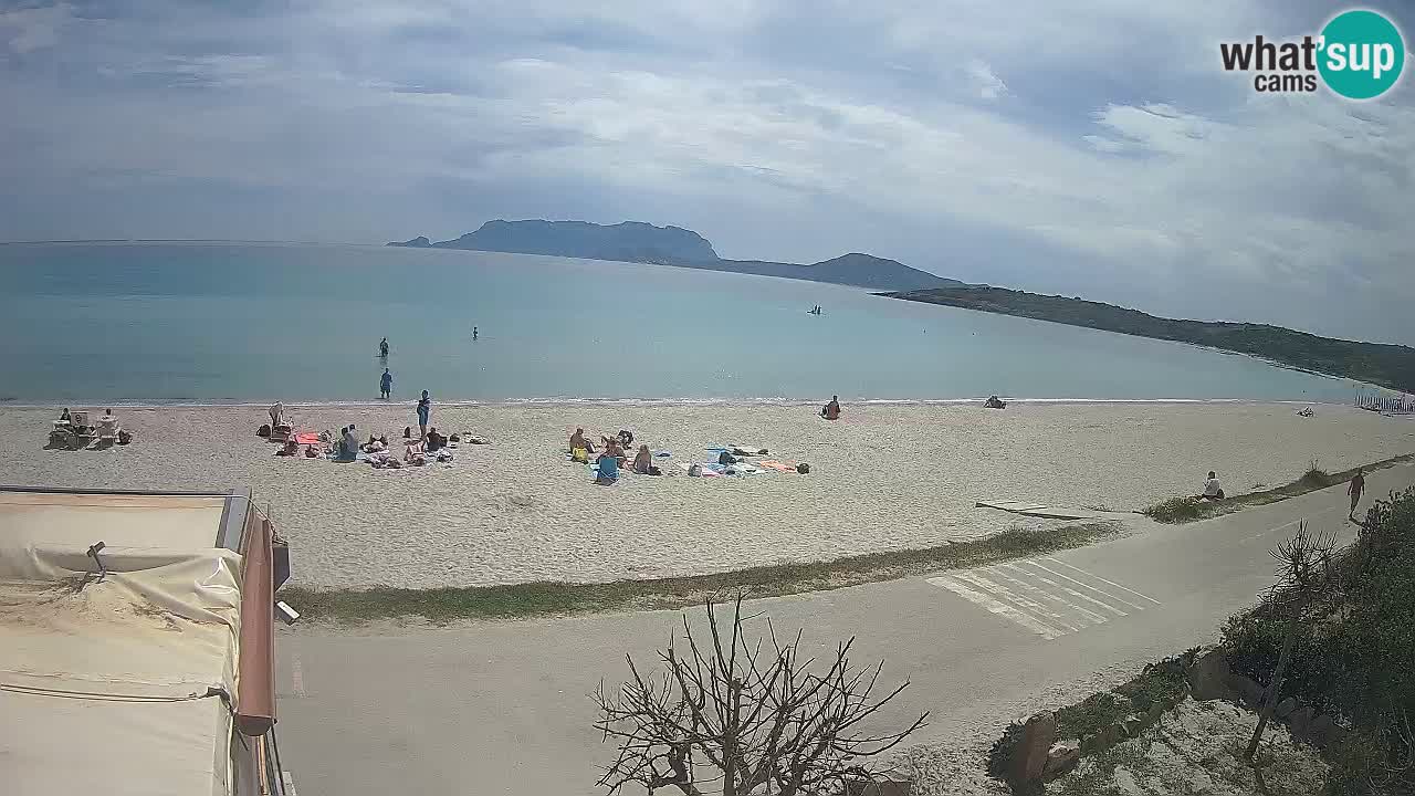 The beach of Pittulongu live webcam Olbia – Sardinia – Italy