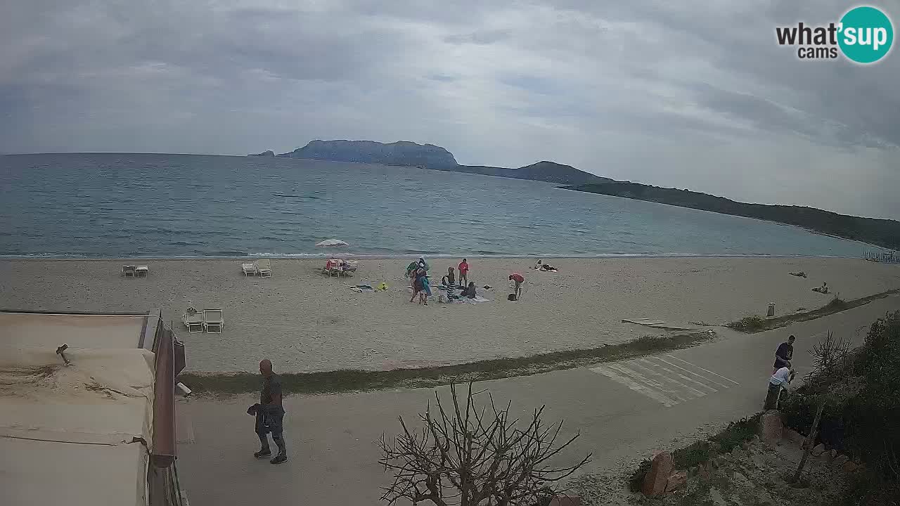 La plage de Pittulongu en direct webcam Olbia – Sardaigne – Italie