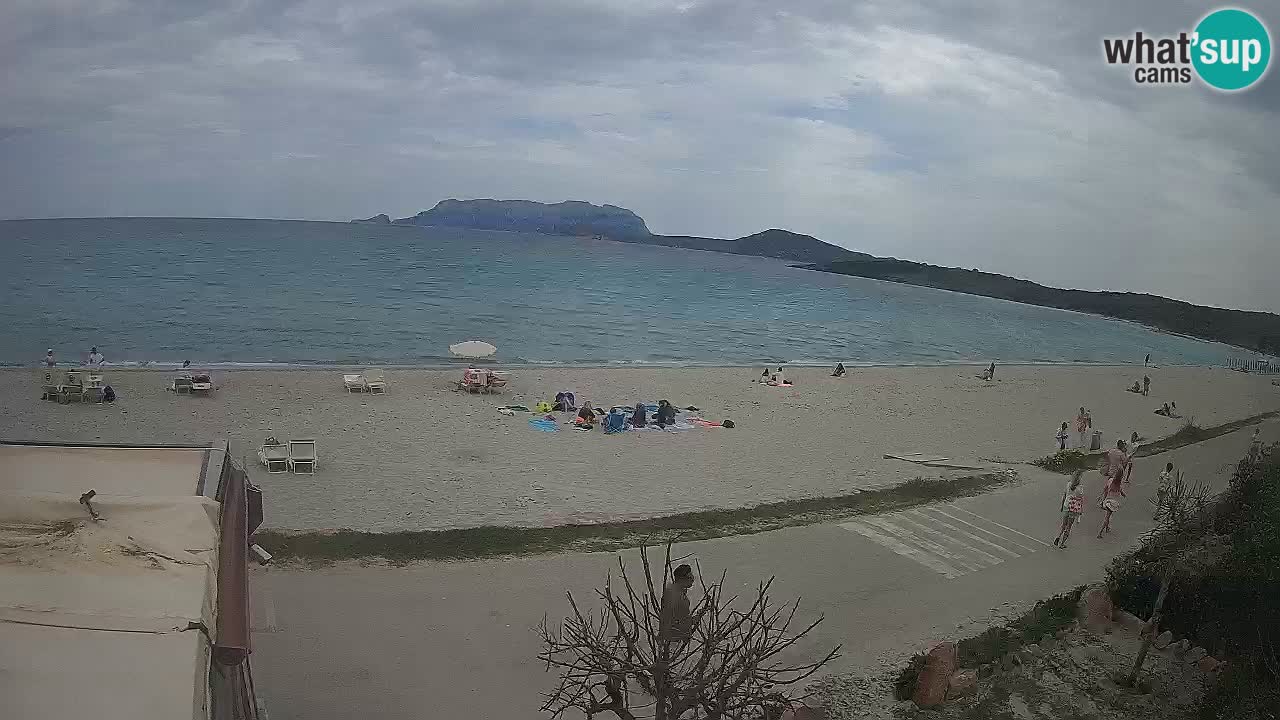 La plage de Pittulongu en direct webcam Olbia – Sardaigne – Italie