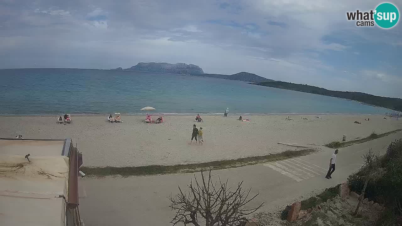 Plaža Pittulongu spletna kamera v živo Olbia – Sardinija – Italija