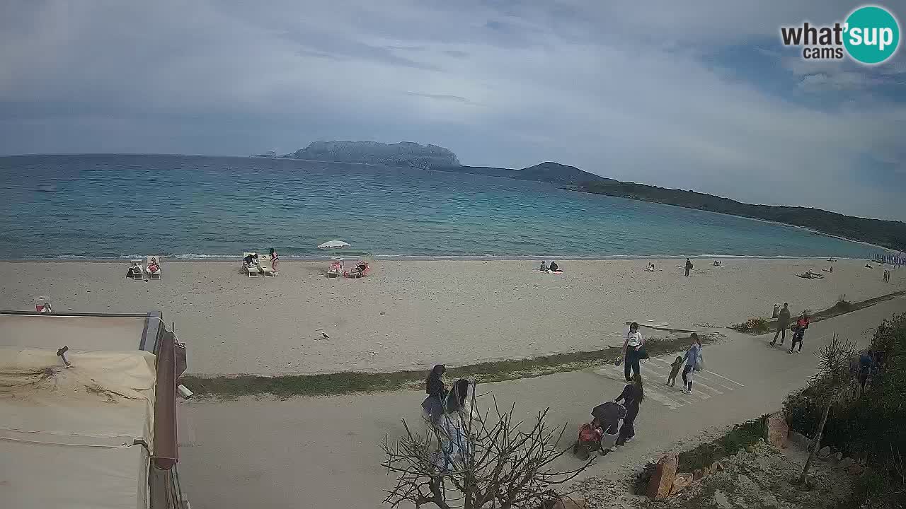 La webcam spiaggia Pittulongu vicino Olbia – Sardegna