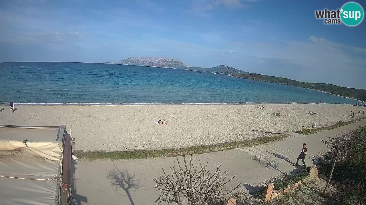 La plage de Pittulongu en direct webcam Olbia – Sardaigne – Italie