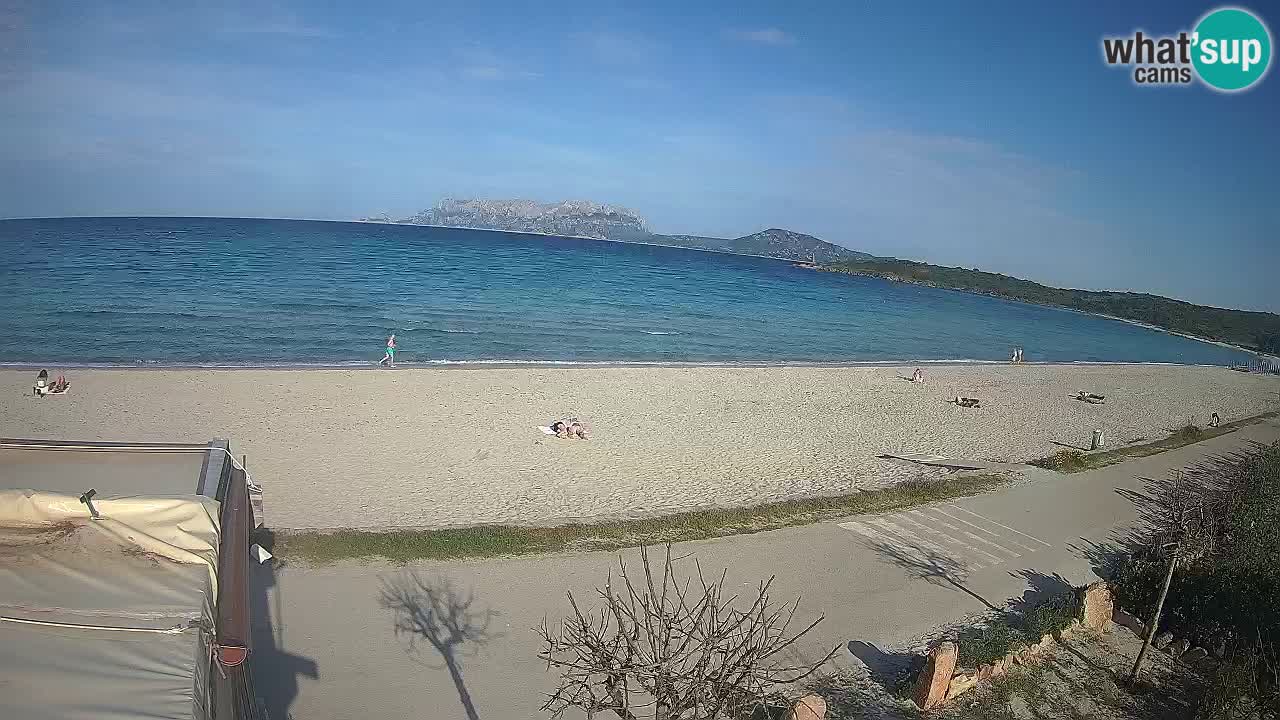 Plaža Pittulongu spletna kamera v živo Olbia – Sardinija – Italija