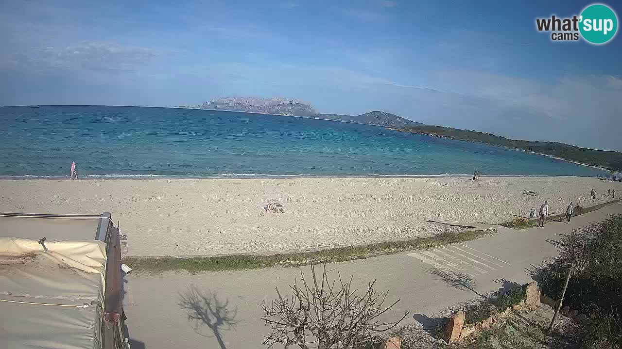 The beach of Pittulongu live webcam Olbia – Sardinia – Italy