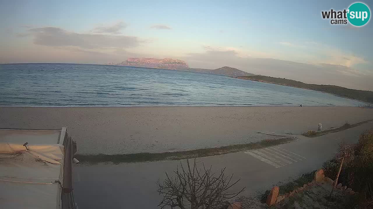 The beach of Pittulongu live webcam Olbia – Sardinia – Italy