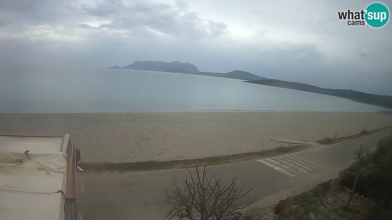 La plage de Pittulongu en direct webcam Olbia – Sardaigne – Italie