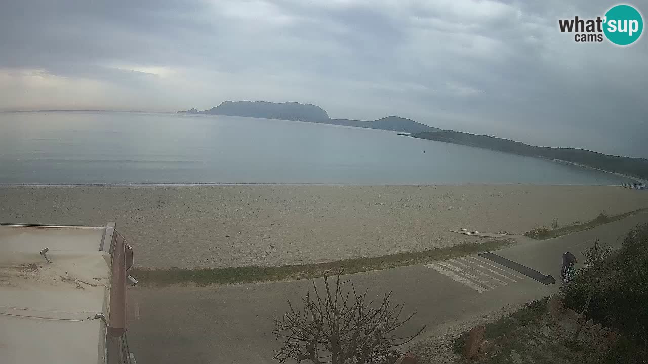 Plaža Pittulongu uživo web kamera Olbia – Sardinija – Italija