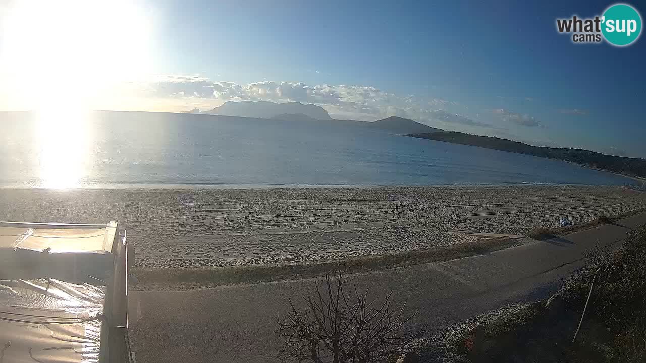 La plage de Pittulongu en direct webcam Olbia – Sardaigne – Italie
