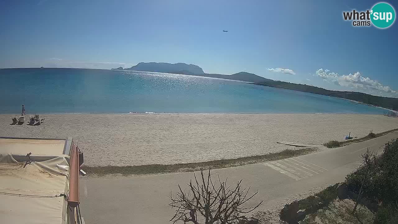 La webcam spiaggia Pittulongu vicino Olbia – Sardegna