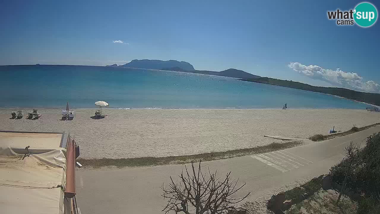 La webcam spiaggia Pittulongu vicino Olbia – Sardegna