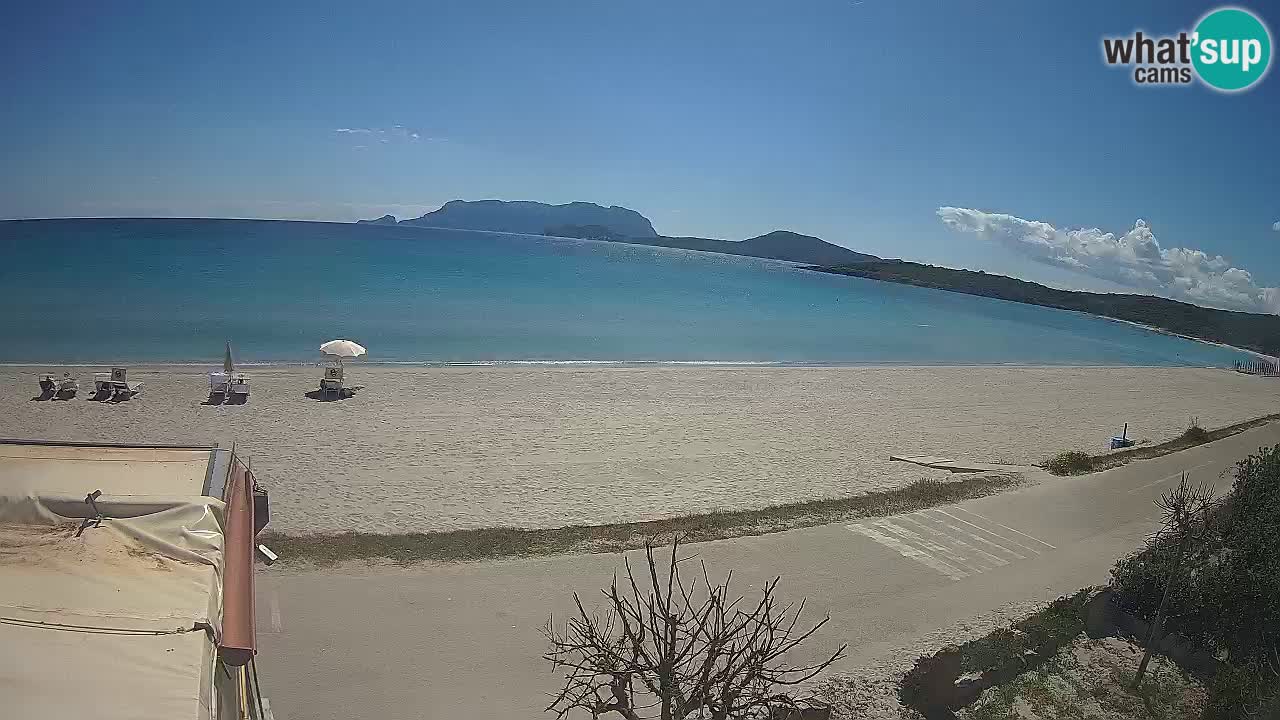 La plage de Pittulongu en direct webcam Olbia – Sardaigne – Italie