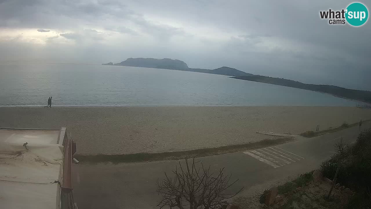 La plage de Pittulongu en direct webcam Olbia – Sardaigne – Italie