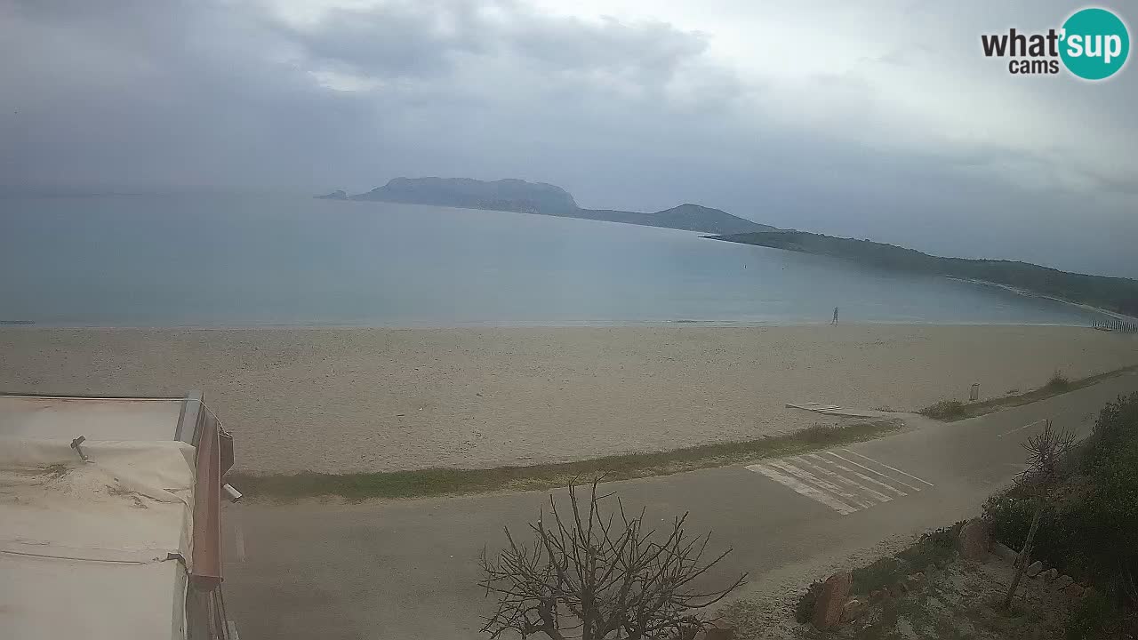 Der Strand von Pittulongu Live-Webcam Olbia – Sardinien – Italien