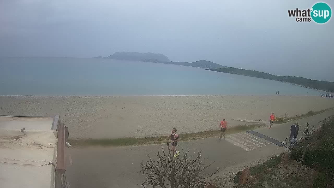 La webcam spiaggia Pittulongu vicino Olbia – Sardegna