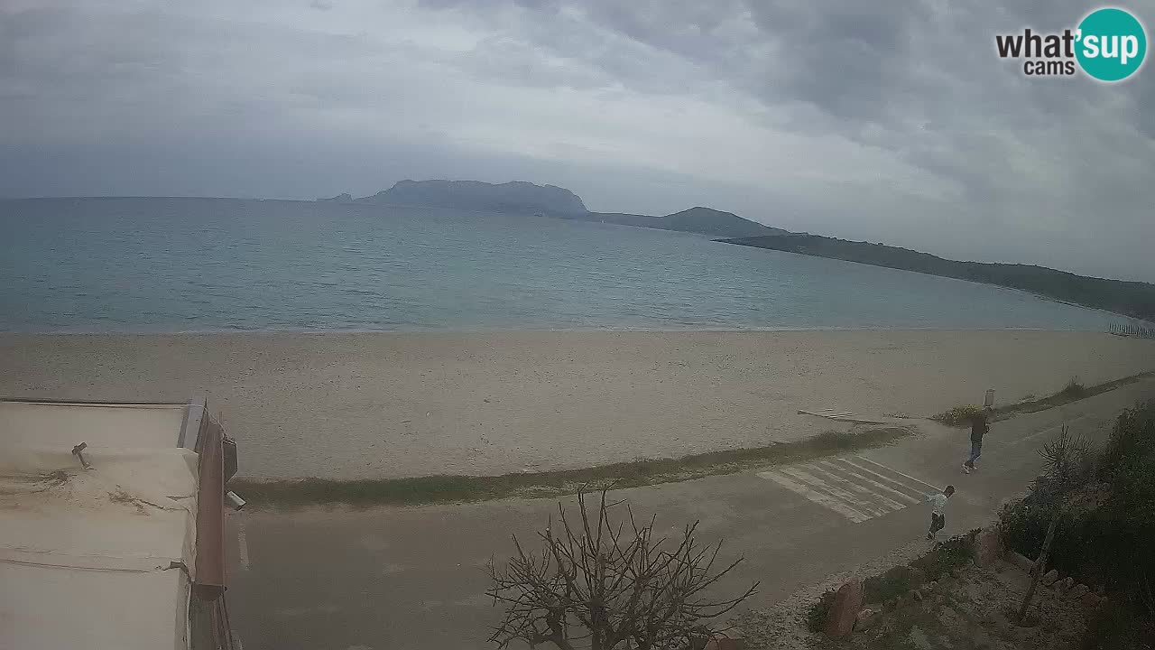 The beach of Pittulongu live webcam Olbia – Sardinia – Italy