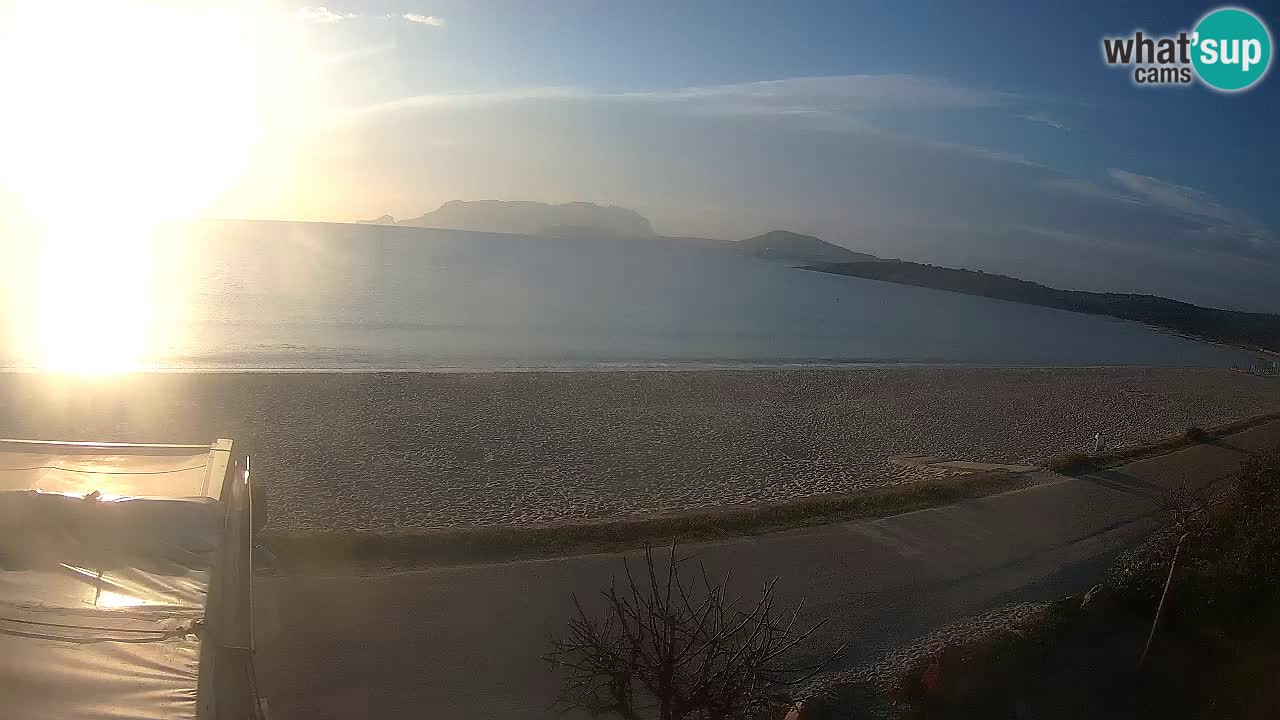 La plage de Pittulongu en direct webcam Olbia – Sardaigne – Italie