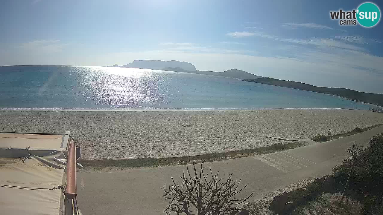La plage de Pittulongu en direct webcam Olbia – Sardaigne – Italie
