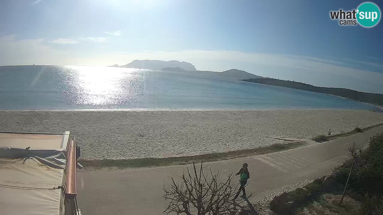 The beach of Pittulongu live webcam Olbia – Sardinia – Italy