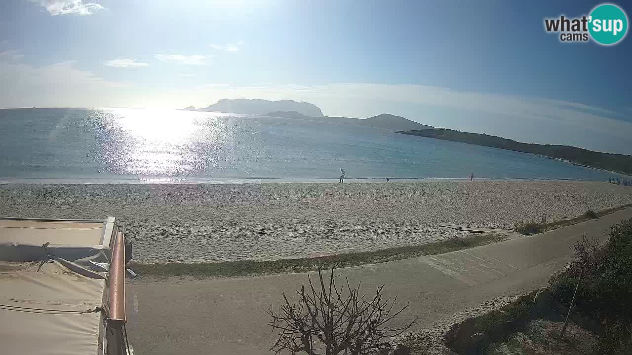 La playa de Pittulongu webcam en vivo Olbia – Cerdeña – Italia