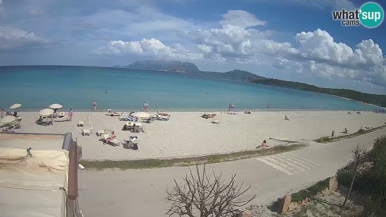 Plaža Pittulongu uživo web kamera Olbia – Sardinija – Italija