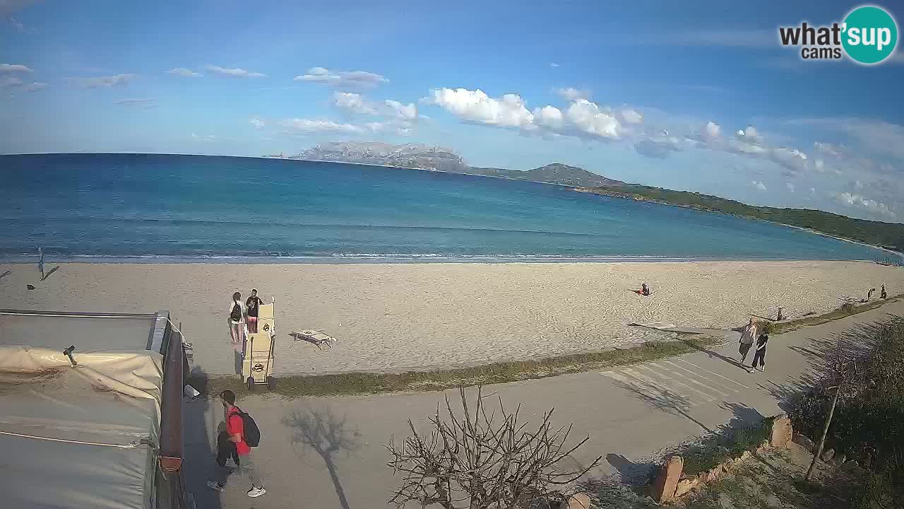 Der Strand von Pittulongu Live-Webcam Olbia – Sardinien – Italien