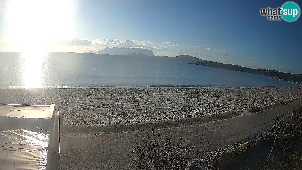 Der Strand von Pittulongu Live-Webcam Olbia – Sardinien – Italien