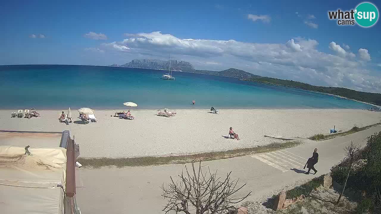 La plage de Pittulongu en direct webcam Olbia – Sardaigne – Italie