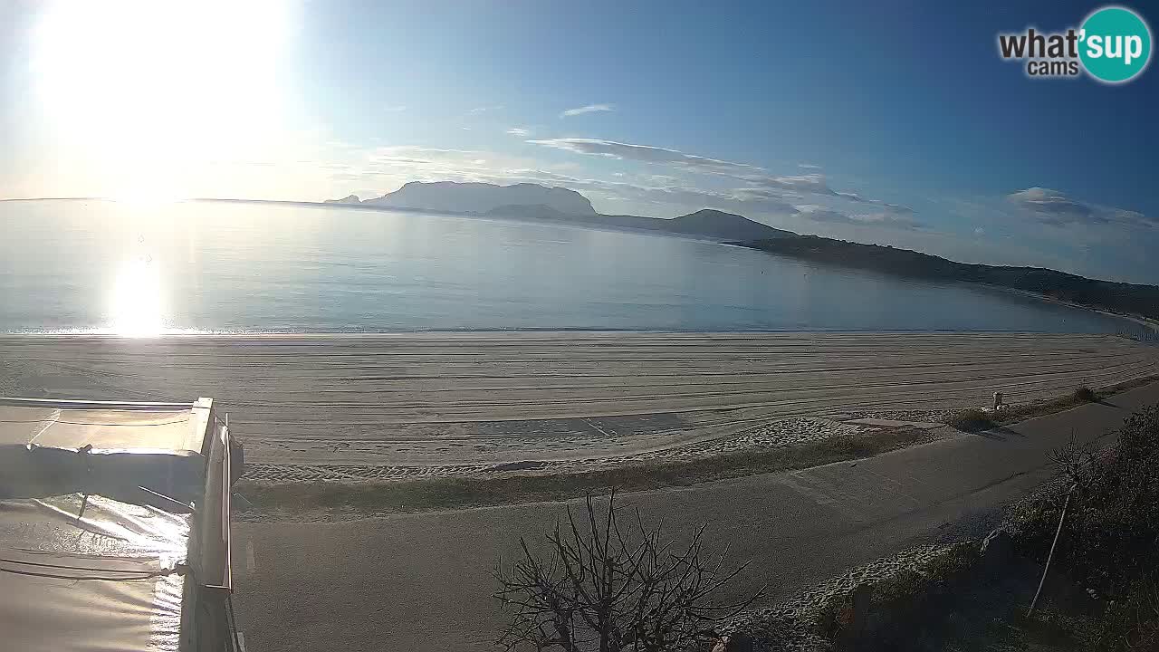 La playa de Pittulongu webcam en vivo Olbia – Cerdeña – Italia