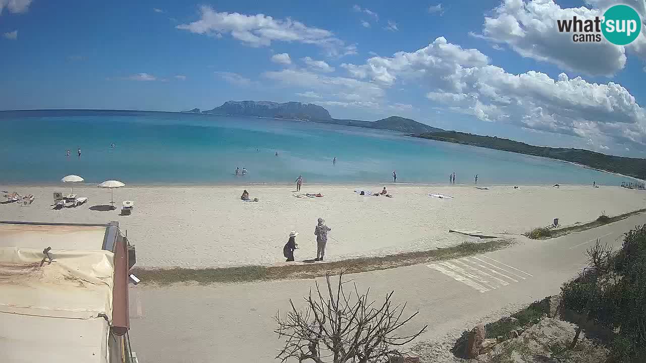 Plaža Pittulongu spletna kamera v živo Olbia – Sardinija – Italija