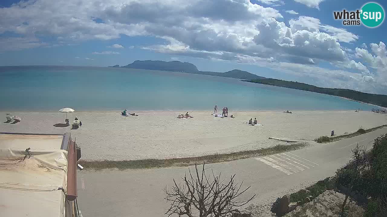 La webcam spiaggia Pittulongu vicino Olbia – Sardegna