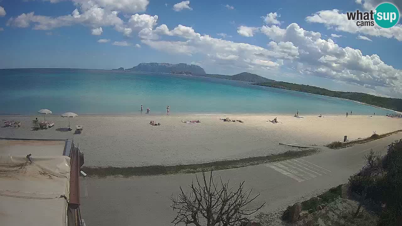 La plage de Pittulongu en direct webcam Olbia – Sardaigne – Italie