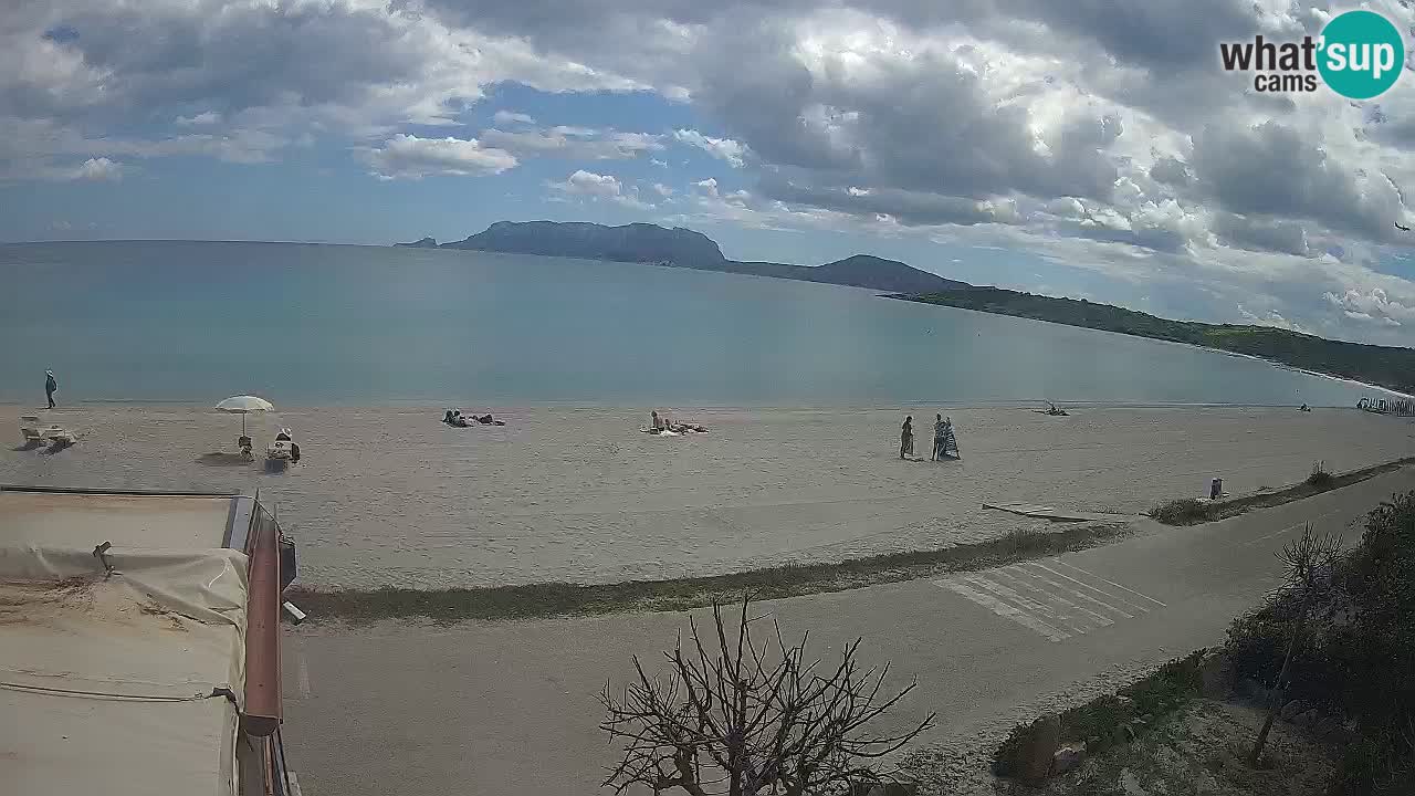 The beach of Pittulongu live webcam Olbia – Sardinia – Italy