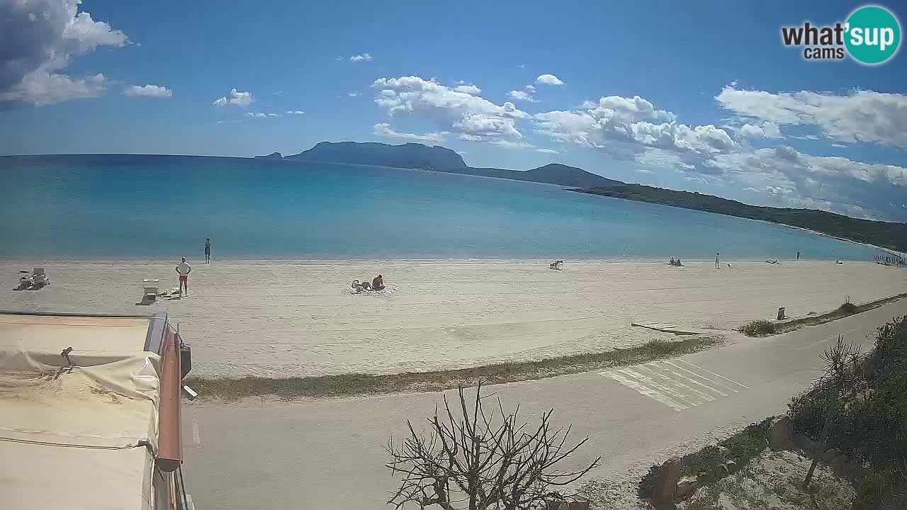 Der Strand von Pittulongu Live-Webcam Olbia – Sardinien – Italien
