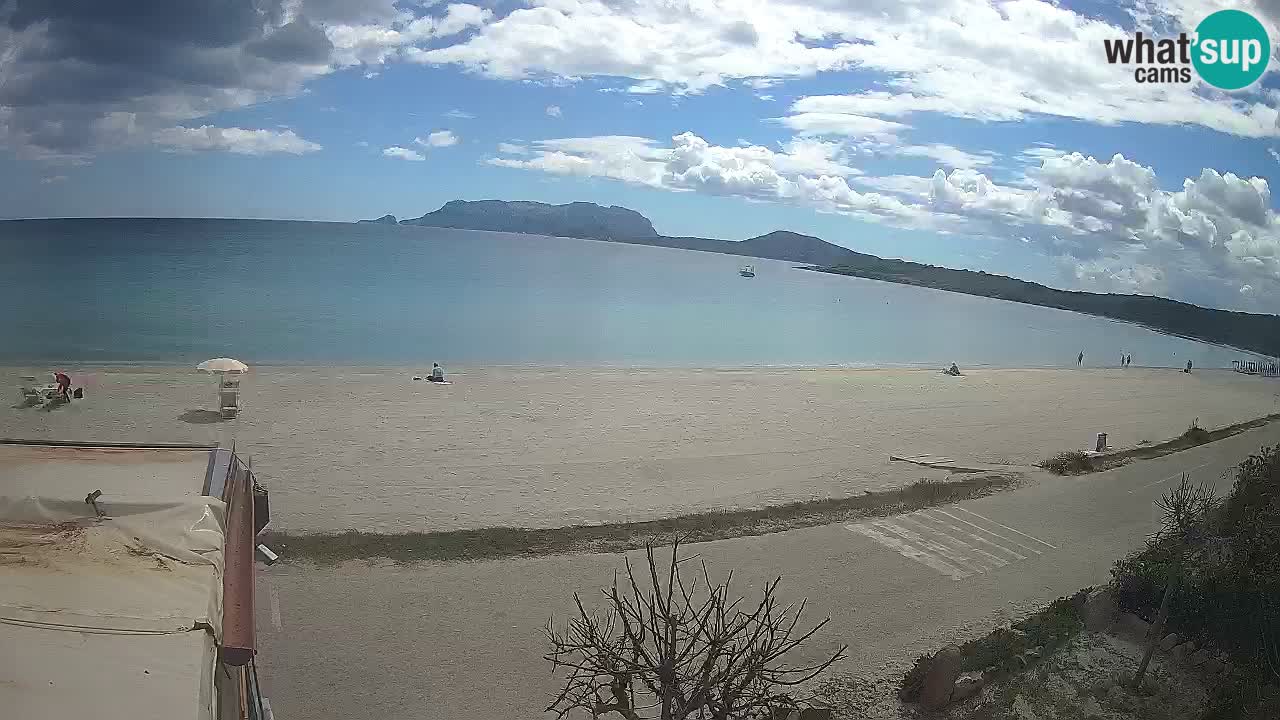 La webcam spiaggia Pittulongu vicino Olbia – Sardegna