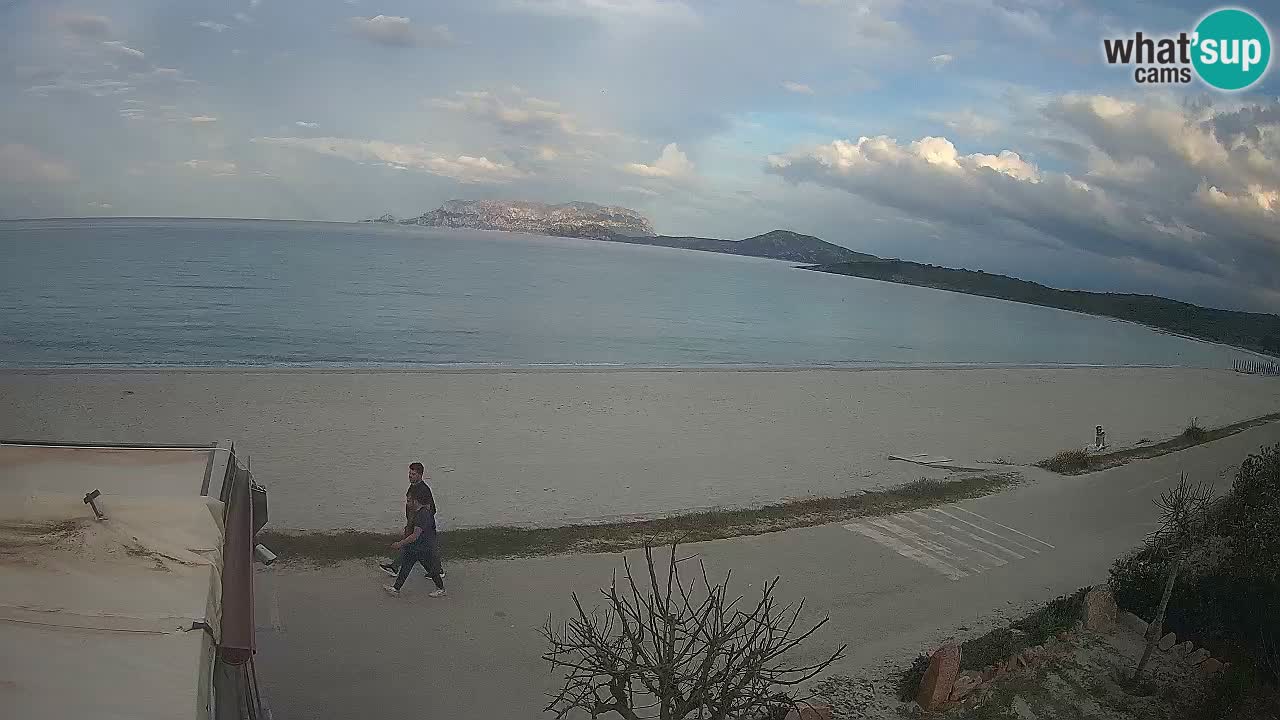 La playa de Pittulongu webcam en vivo Olbia – Cerdeña – Italia
