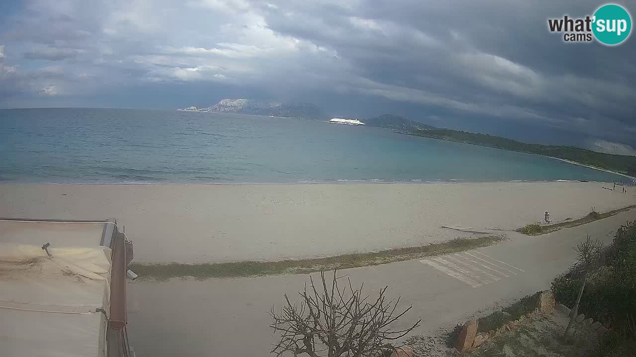 Der Strand von Pittulongu Live-Webcam Olbia – Sardinien – Italien