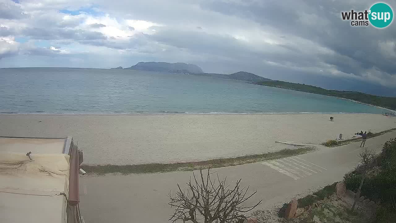 The beach of Pittulongu live webcam Olbia – Sardinia – Italy