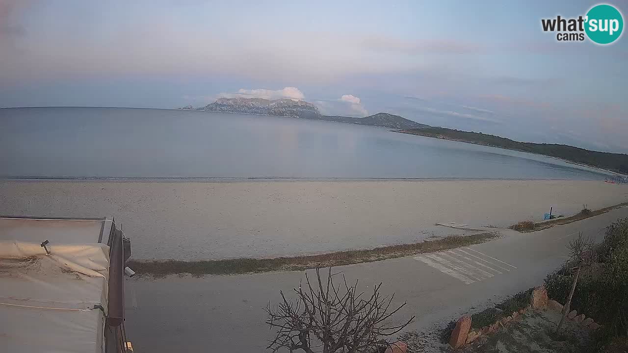 Plaža Pittulongu uživo web kamera Olbia – Sardinija – Italija