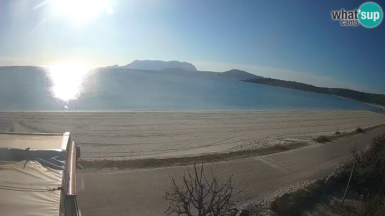 Plaža Pittulongu spletna kamera v živo Olbia – Sardinija – Italija