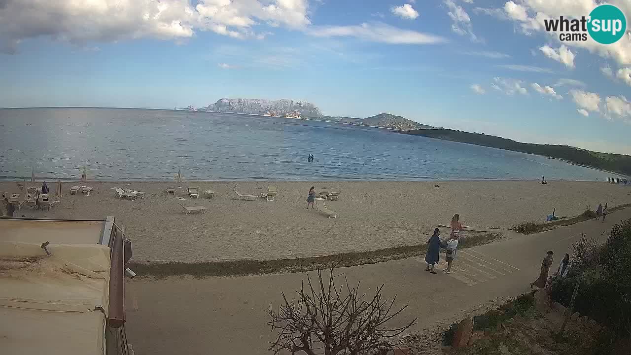 La playa de Pittulongu webcam en vivo Olbia – Cerdeña – Italia