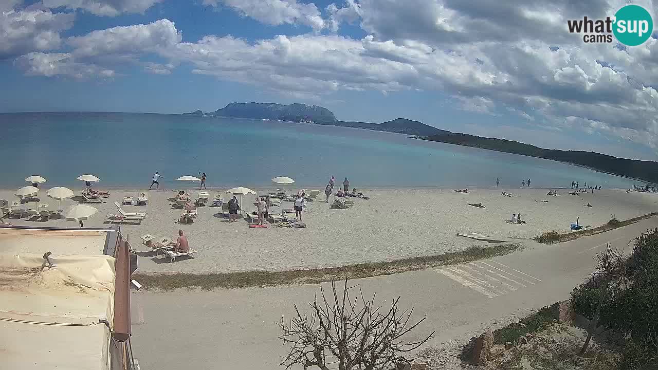 La playa de Pittulongu webcam en vivo Olbia – Cerdeña – Italia