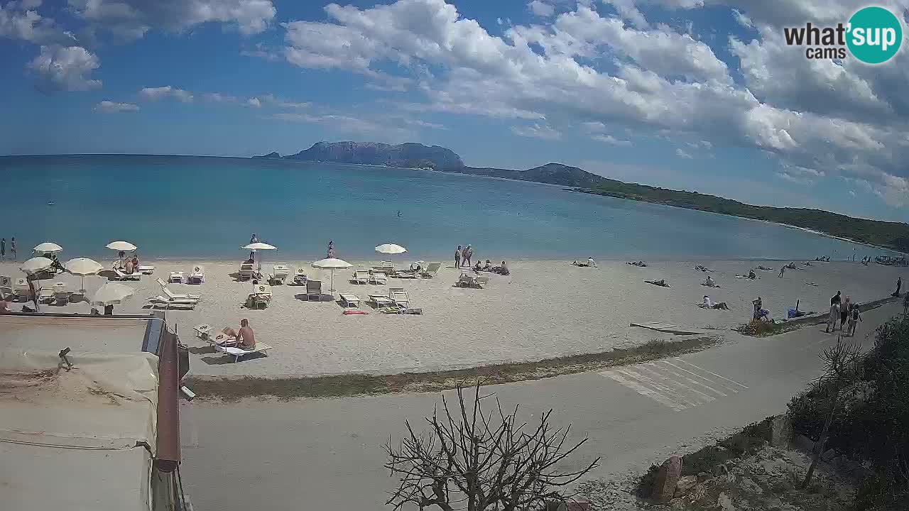 Plaža Pittulongu uživo web kamera Olbia – Sardinija – Italija