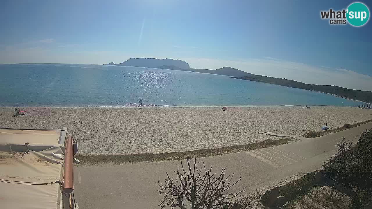 La playa de Pittulongu webcam en vivo Olbia – Cerdeña – Italia