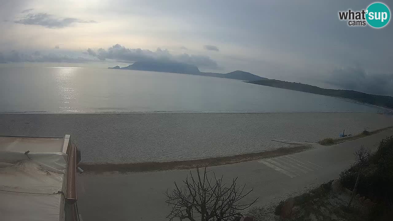 The beach of Pittulongu live webcam Olbia – Sardinia – Italy