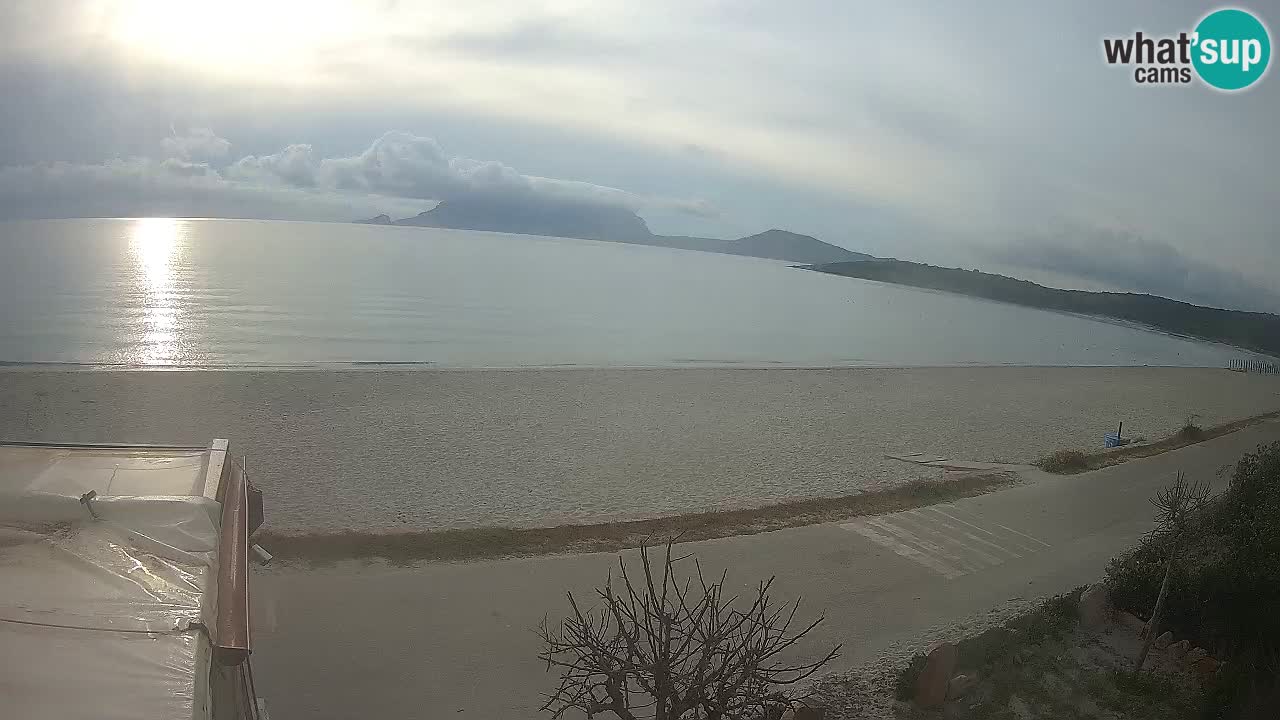 La playa de Pittulongu webcam en vivo Olbia – Cerdeña – Italia