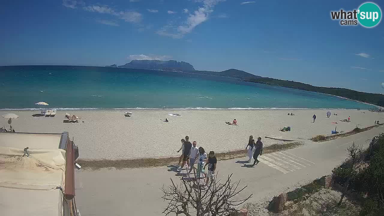 The beach of Pittulongu live webcam Olbia – Sardinia – Italy