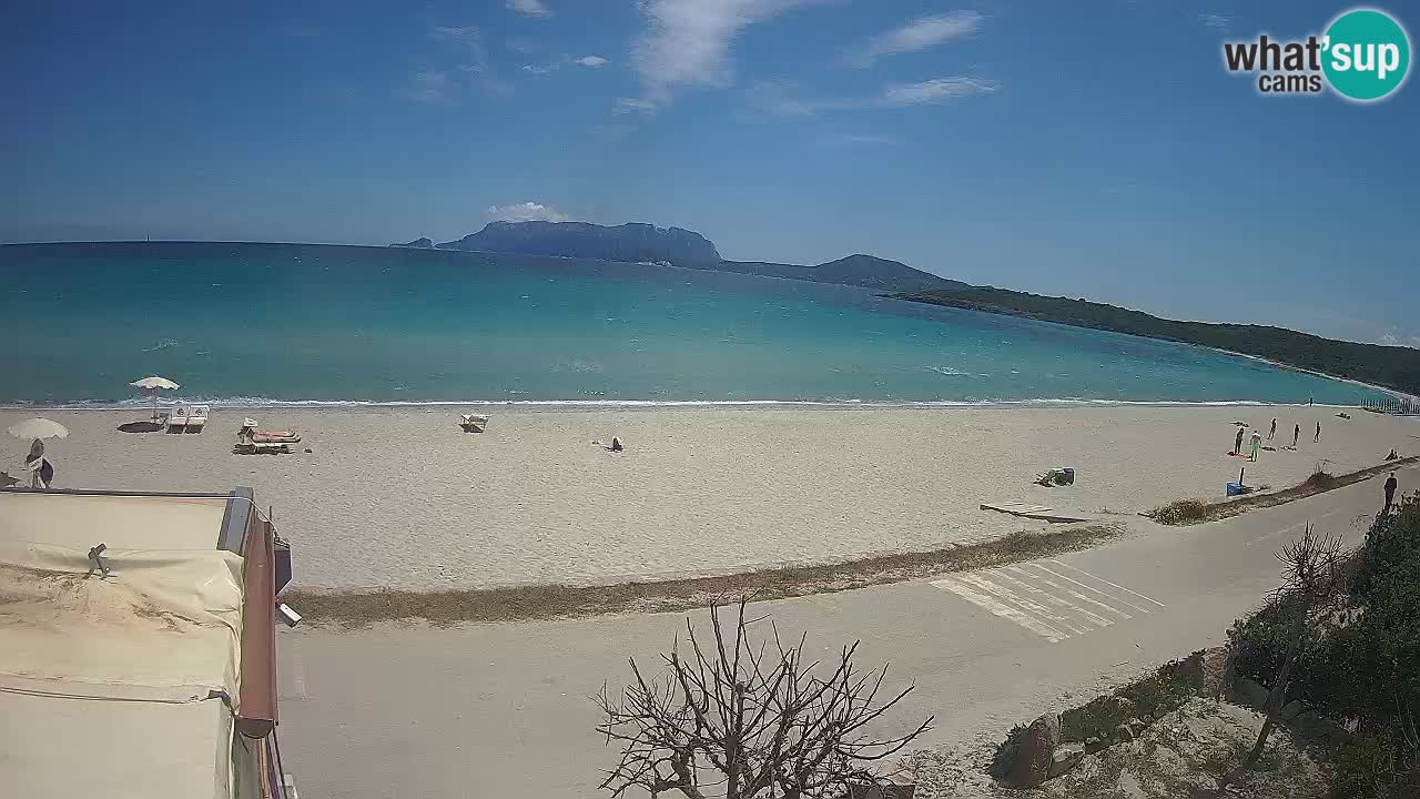 The beach of Pittulongu live webcam Olbia – Sardinia – Italy