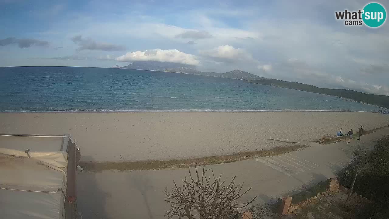 Der Strand von Pittulongu Live-Webcam Olbia – Sardinien – Italien